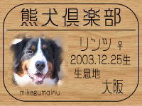 �����c�ꂳ��̂a�k�n�f�ւf�n�I